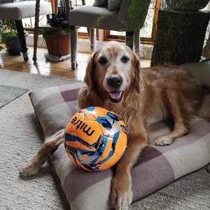 Meet your Posher, Mary